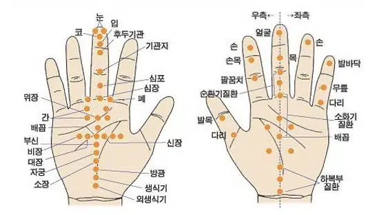 손지압점 왼손과 오른손의 차이