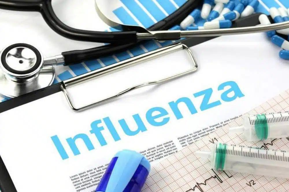 인플루엔자 가격