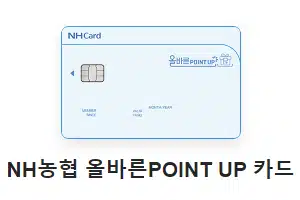 NH농협 올바른POINT UP 카드_추천