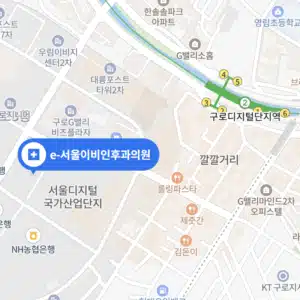 구로디지털단지역 독감예방접종 가격 e-서울이비인후과의원