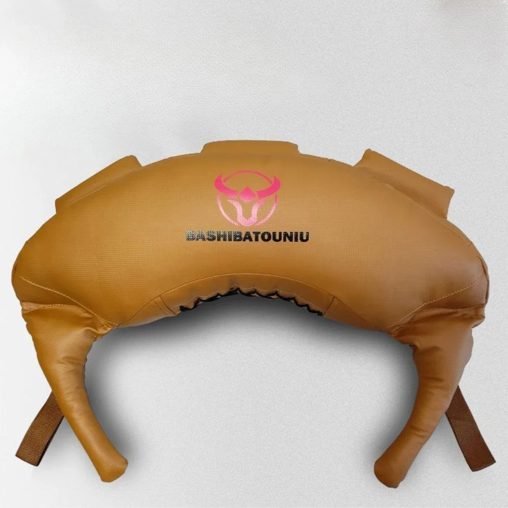 불가리안백 30kg 모래 주머니 홈 헬스 근력 중량 운동 백 스쿼트